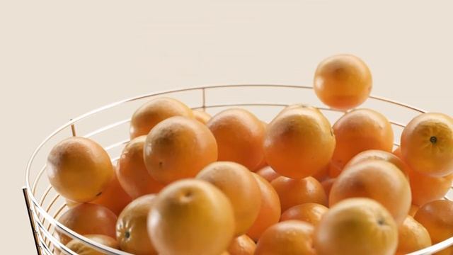 Z14 Nature Closed Chamber смотреть онлайн