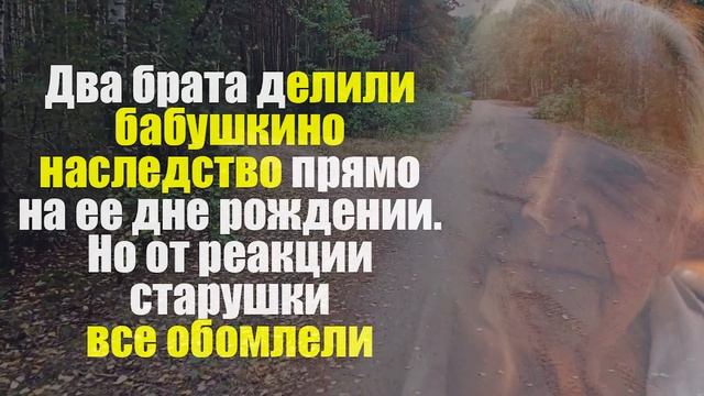 Два брата делили бабушкино наследство... смотреть онлайн