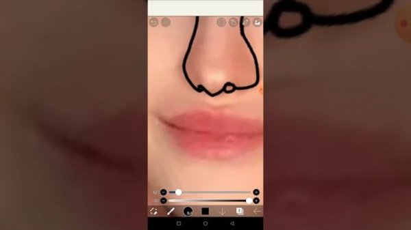 туториал по обводке из приложение ibisPaint X