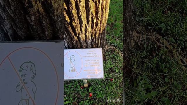 ОТЕЛЬ БЕЛКОНТИ БЕЛЕК ТУРЦИЯ. ЭТО ЧЕРЕПАХА МАРТА#караганда смотреть онлайн
