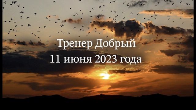 Тренер Добрый смотреть онлайн
