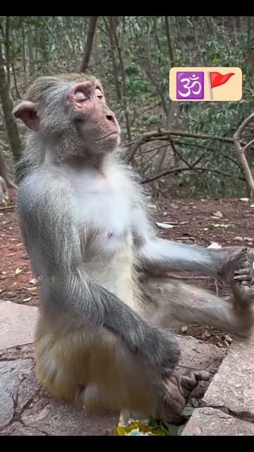 #trending #viral #shorts #short #reels смотреть онлайн