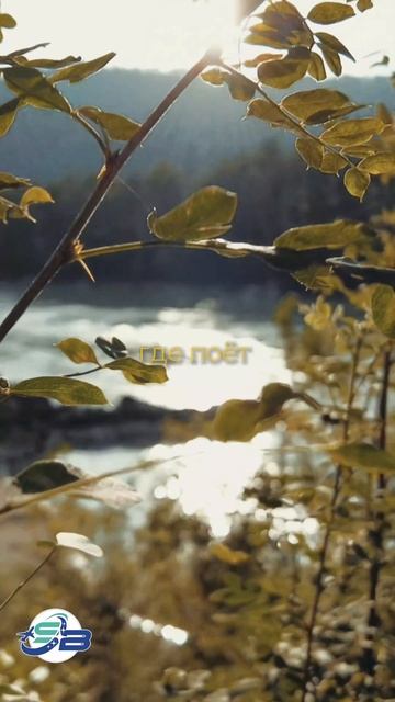 Путешествие вместе с САБАЙ. Алтай