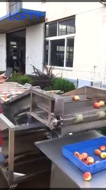 Peach Industrial Fruit Washing Machine смотреть онлайн