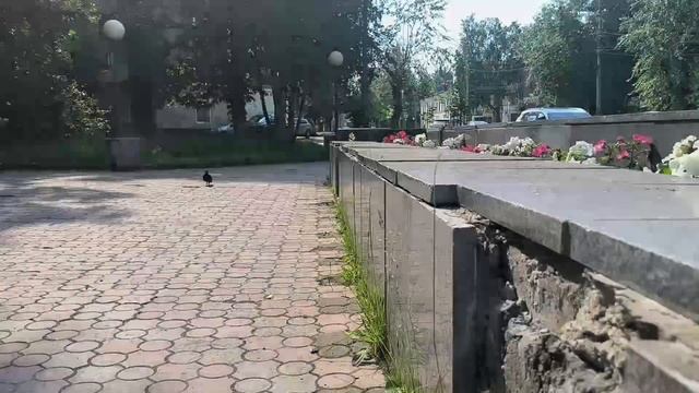 Знаю, трюки лёгкие, но красивые смотреть онлайн