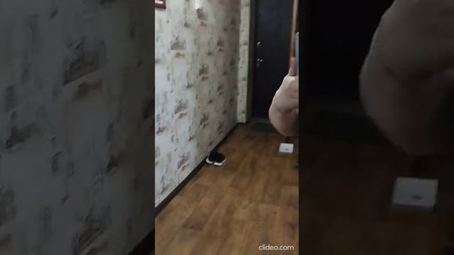 Обзор квартиры ул Чапаева смотреть онлайн