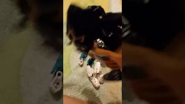 Фабрика героев лего смотреть онлайн