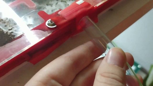 60. Moja największa kolonia mrówek dostała drugie gniazdo. смотреть онлайн