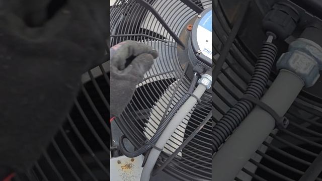 ZIEHL ABEGG EC BLUE FAN MOTOR | TROUBLESHOOT AND TEST смотреть онлайн