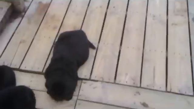Маленькая страна