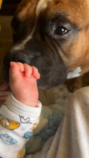 Можно только нюхать смотреть онлайн