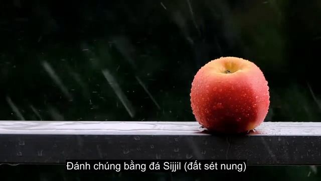 Chương 105 Con Voi, Đọc Kinh Qur'an Đẹp, Hơn 90 Phụ Đề Ngôn Ngữ смотреть онлайн
