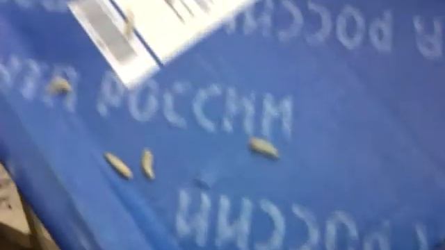 Почта России Ваши посылки смотреть онлайн