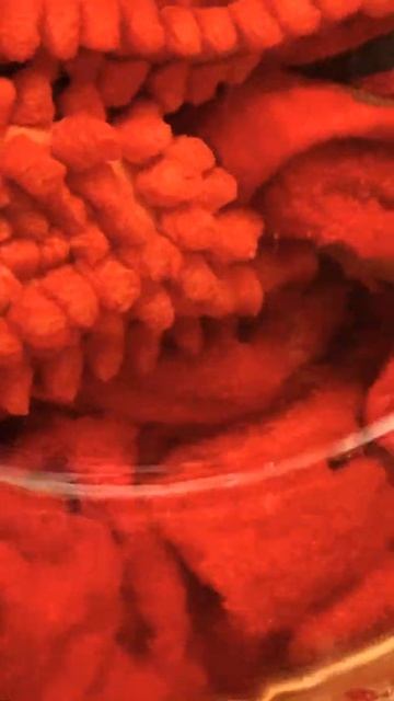 Today Is Dye Your Whites To ORANGE Kind Of Day | Washing Machine Fabric Dye Pod #shorts #rosemsb смотреть онлайн