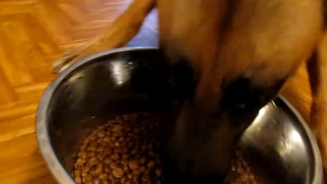 влат а читыре ест кобикова на протяжении 25 секунд под песню я гоню быстро смотреть онлайн