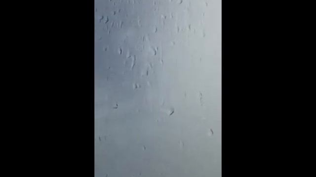 ОБЛИЛИ смотреть онлайн