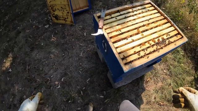 ЛЕНТИ ПРОТИВ АКАР смотреть онлайн