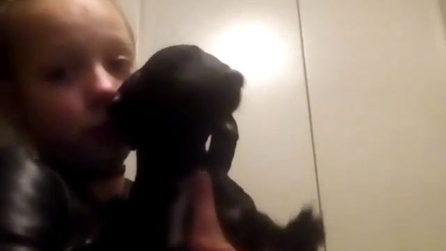 VLOG: гуляю смотреть онлайн