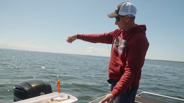 Catching Whiting & How to Bait Up | Lee Rayner Fishing Tips | Anaconda Stores смотреть онлайн