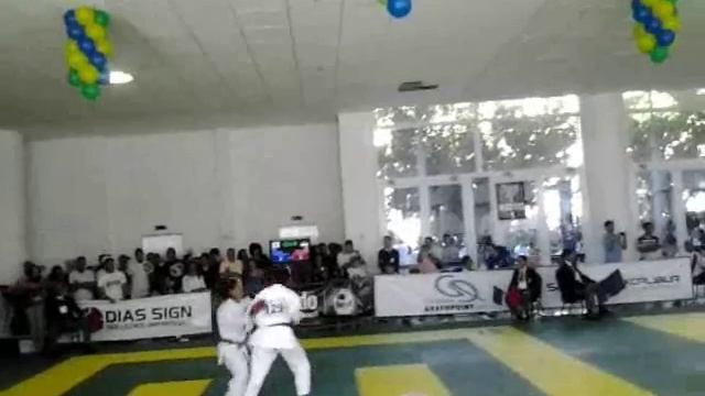 Vanessa Araújo PGPT - OPEN de Karate ARNOLD Classic Brasil 2013 - Rio de Janeiro! смотреть онлайн