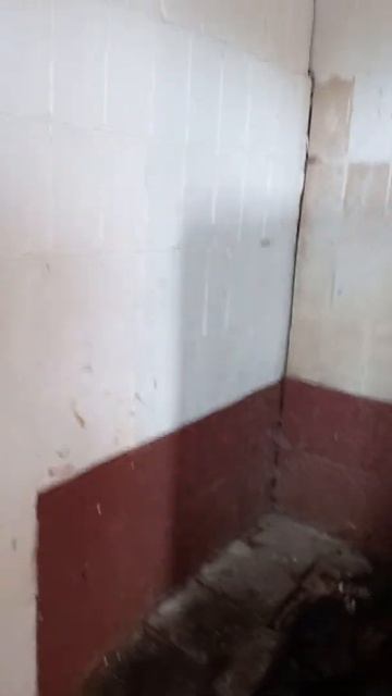 Туалет времен СССР. смотреть онлайн