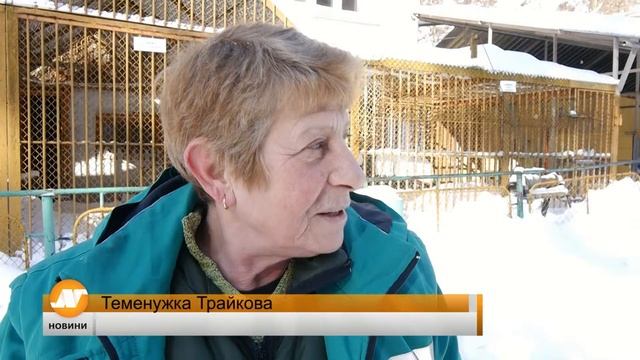 Емисия новини 21:30 часа Добрич 13 януари смотреть онлайн