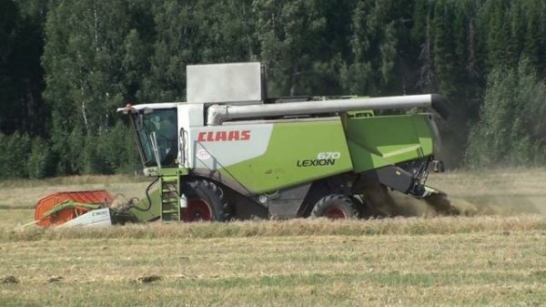 Уборка урожая.CLAAS LEXION 670 .