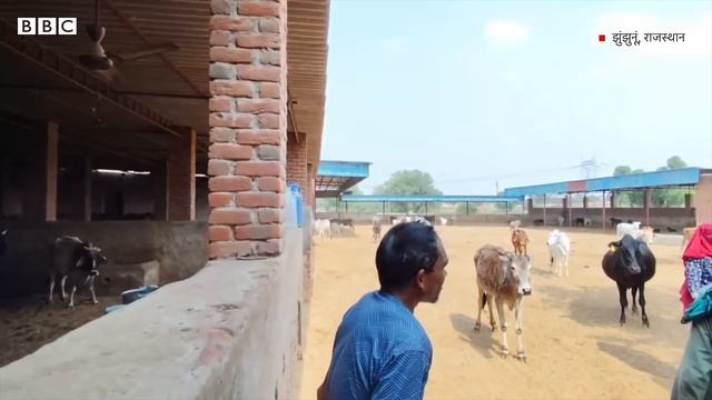 Dalit Death: Rajasthan में दलित युवक की पीट पीटकर हत्या, बुज़ुर्ग मां का बुरा हाल (BBC Hindi) смотреть онлайн