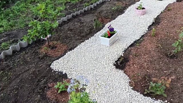 ПОКУПКИ ФИКС ПРАЙС ДЛЯ ОГОРОДА 🛍 УКРАШАЮ СВОЙ ЦВЕТНИК смотреть онлайн