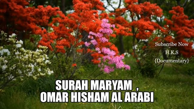 Surah Maryam By Omar Hisham Al Arabi смотреть онлайн