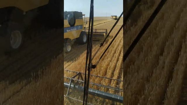 Нью Холланд cs-6080 смотреть онлайн