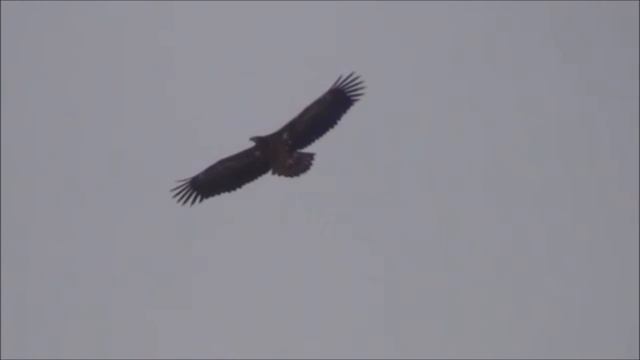Juttelua sanasta смотреть онлайн