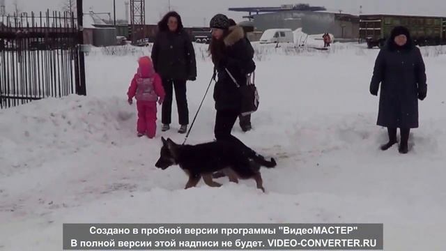 Тайм Сарынь Шарлин ( Т.С. Оушен + Т.С. Злата) 4,5 мес смотреть онлайн