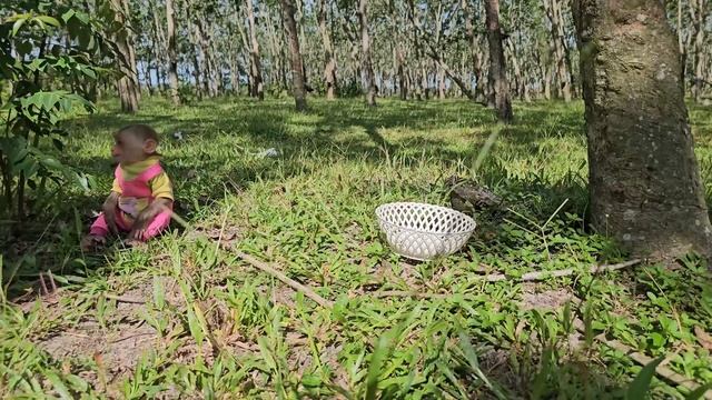 So touching! Monkey SU worry harvest medicinal leaves take care Kuku's leg pain смотреть онлайн