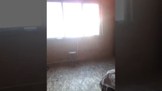 обзор на крысу смотреть онлайн