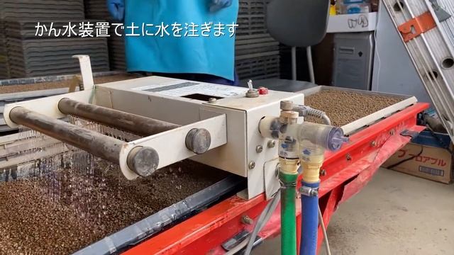 お米の種まき смотреть онлайн