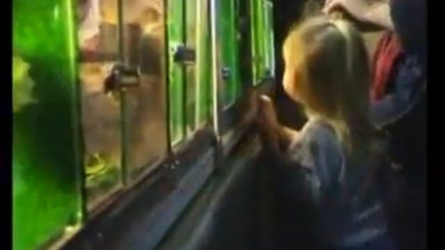 Anaconda 2009 смотреть онлайн