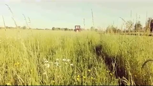Koszenie trawy 2017 ursus + kosiarka rotacyjna w akcji смотреть онлайн
