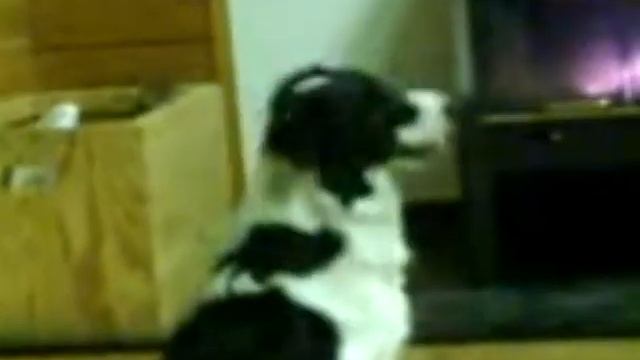 090221 Nova och fläkten смотреть онлайн