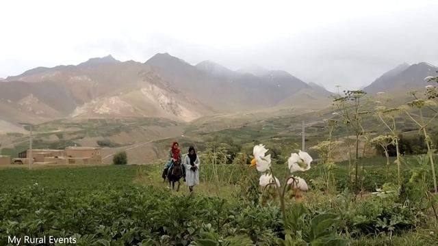 Afghanistan Village Life | Everyday Afghanistan Villagers Girls Lives