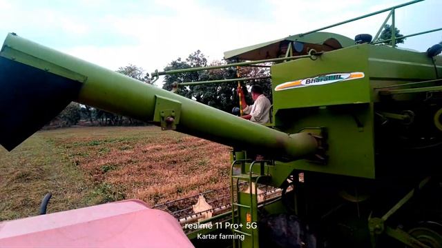 मूंग की ये वैरायटी किसानों को बना देगी लखपति// moong ki kheti смотреть онлайн