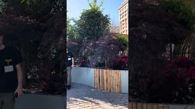 Фестиваль «Москва на волне. Рыбная неделя.» смотреть онлайн