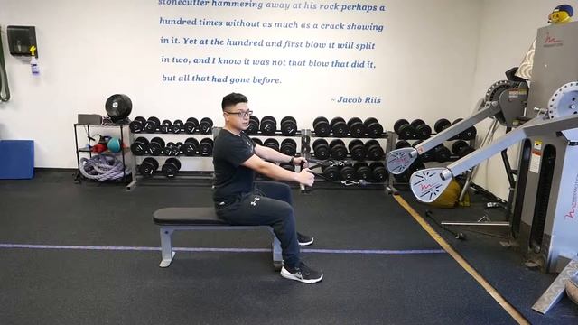 Seated 2 Arm Cable Row Neutral Grip смотреть онлайн