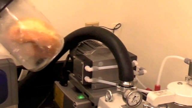Freeze Drying A Donut for National Donut Day смотреть онлайн