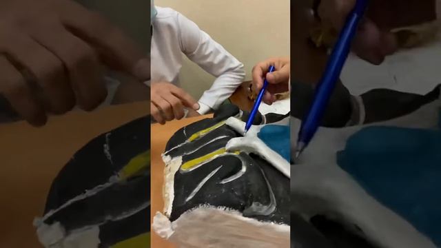 Көздің құрылысы смотреть онлайн