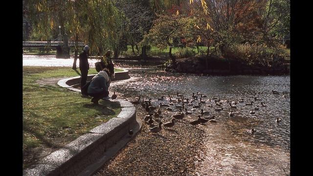 The Beauty of E-6 Color Slide Film смотреть онлайн