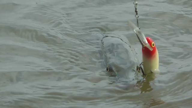 Мои уловистые воблеры смотреть онлайн