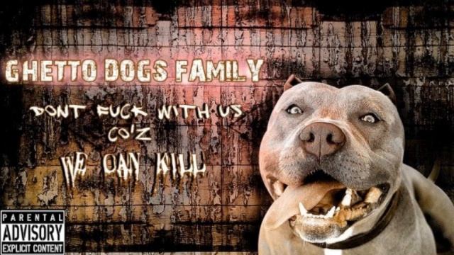 GHETTO DOGS FAMILY-strada sbagliata смотреть онлайн