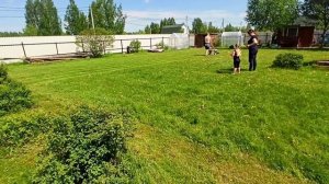 Как красиво подстричь газон х