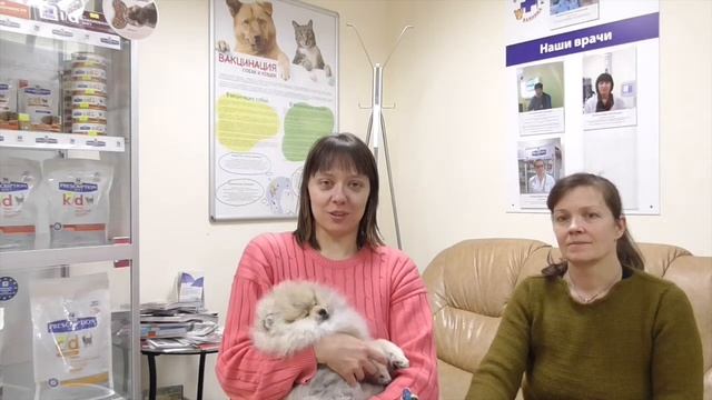 отзыв Центр ветеринарной медицины на Каховке смотреть онлайн